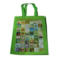 蚌埠LB11覆膜无纺布广告袋